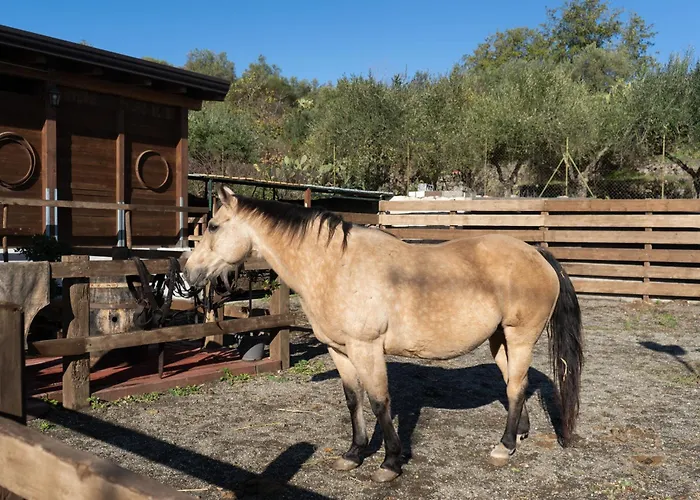 Etna Stables *