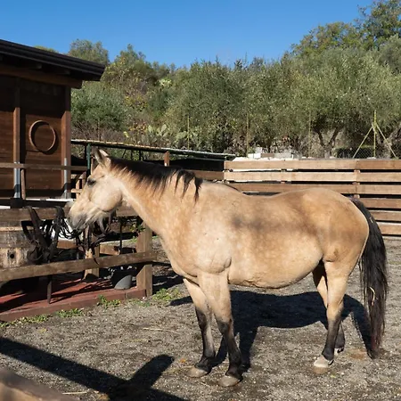 Etna Stables *